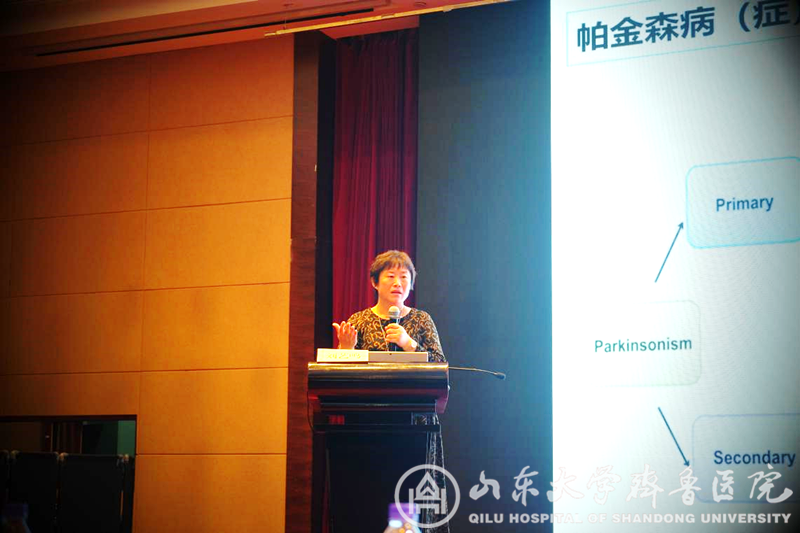医院主办神经调控与神经电生理专业委员会成立大会暨神经调控技术学习班