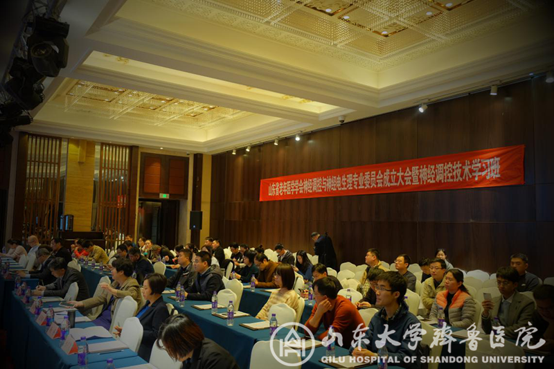医院主办神经调控与神经电生理专业委员会成立大会暨神经调控技术学习班
